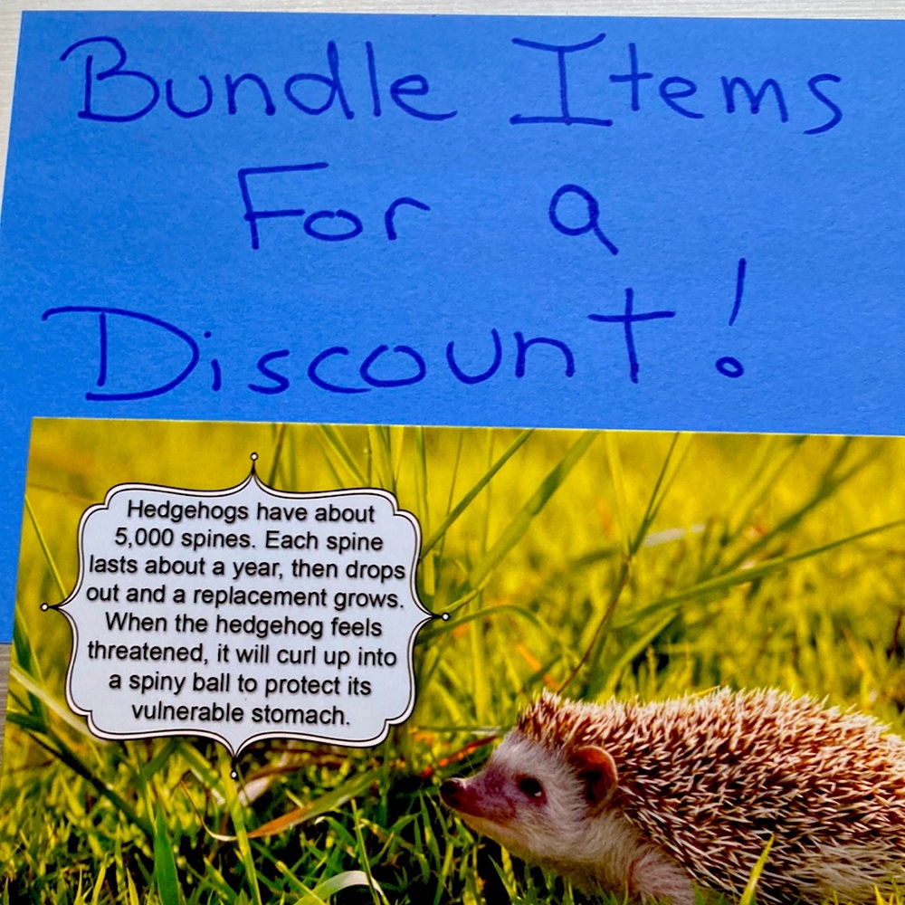 Bundle Bundle